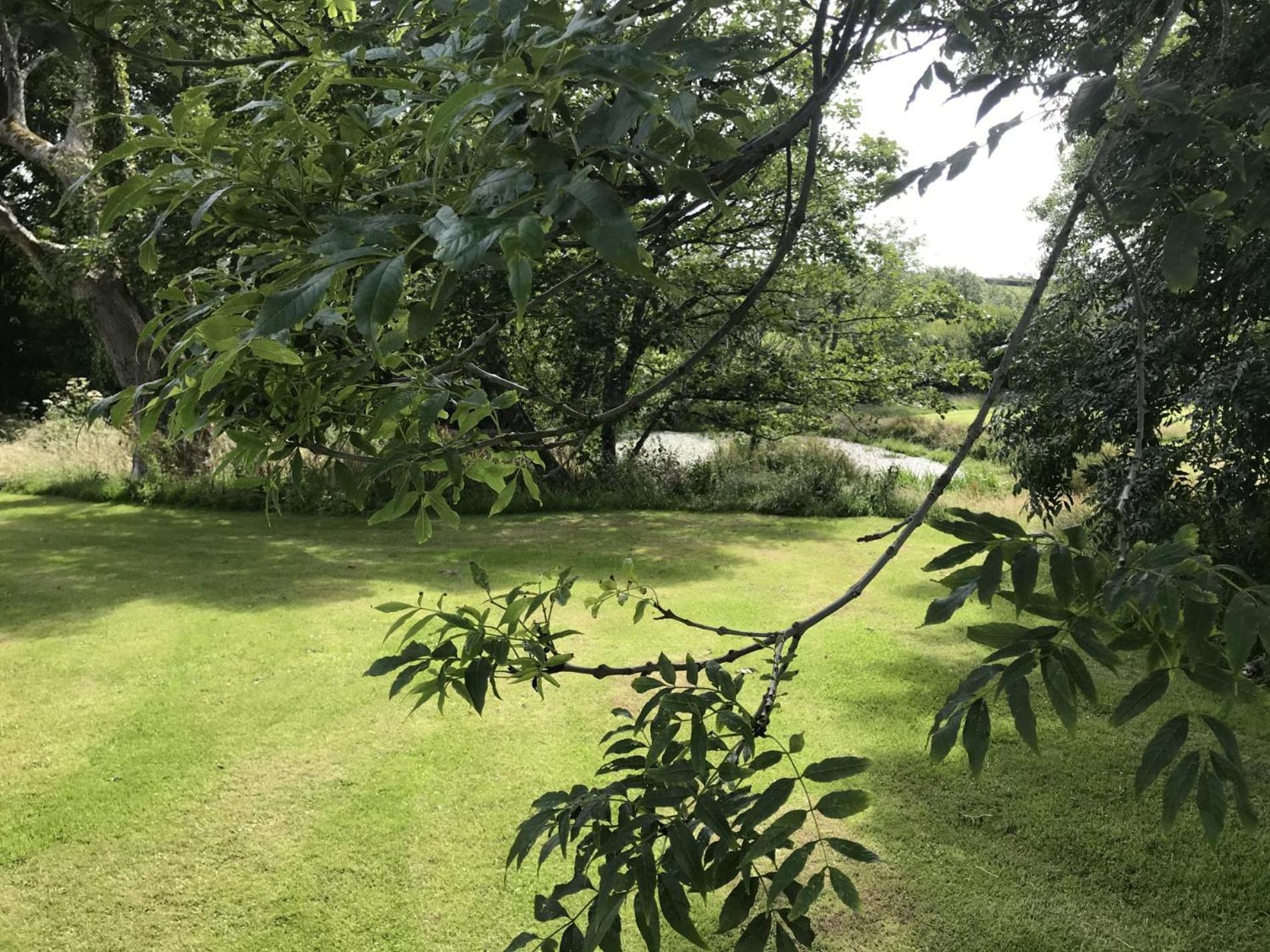 Fern Cottage - Luxurious 1 Bedroom - Blossom Farm Johnston المظهر الخارجي الصورة